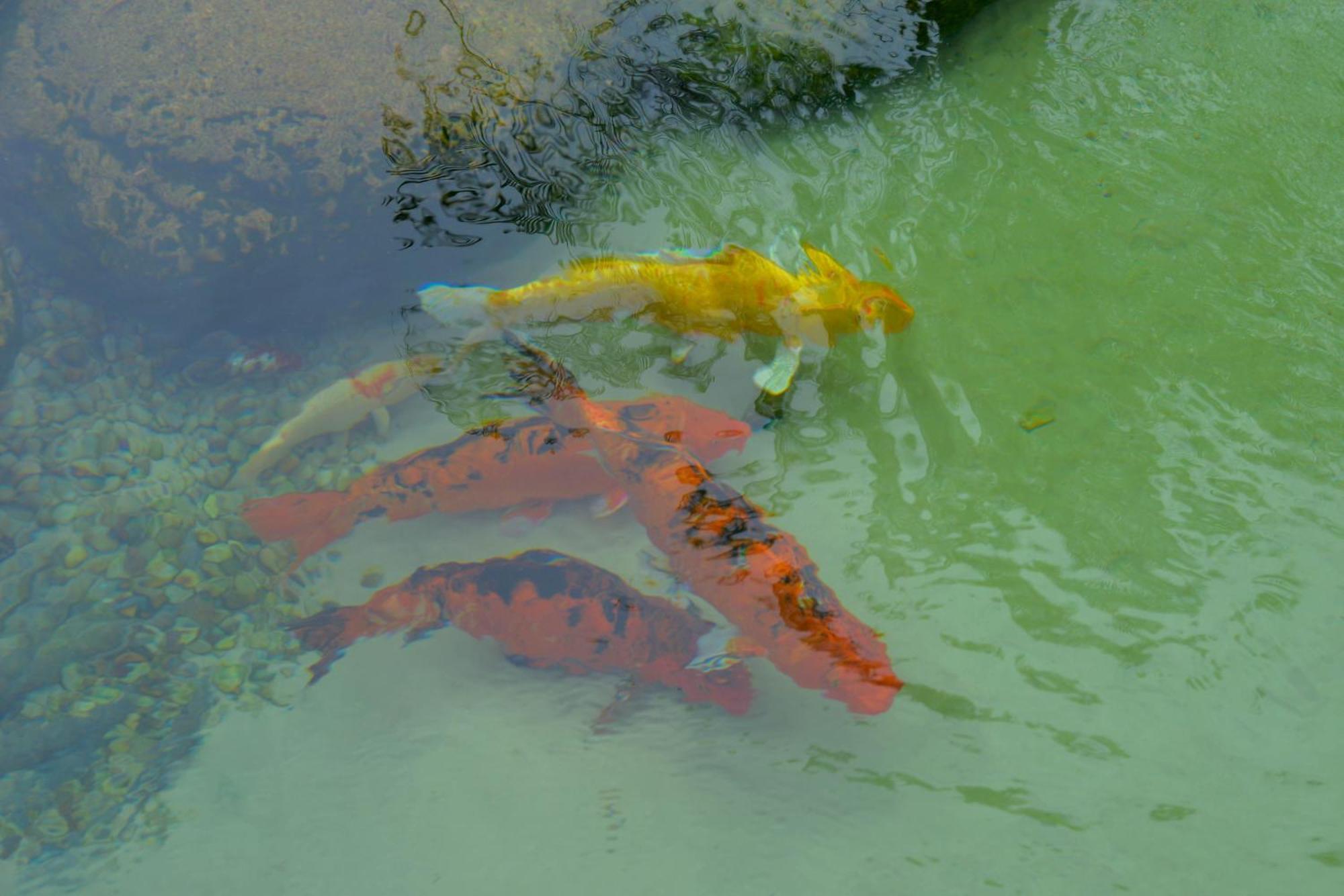 Pousada Do Lago Penedo מראה חיצוני תמונה